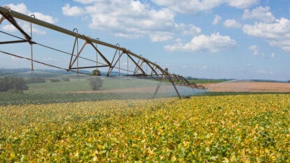 Agro Summit: segurança alimentar, combustível verde e a expansão das proteínas